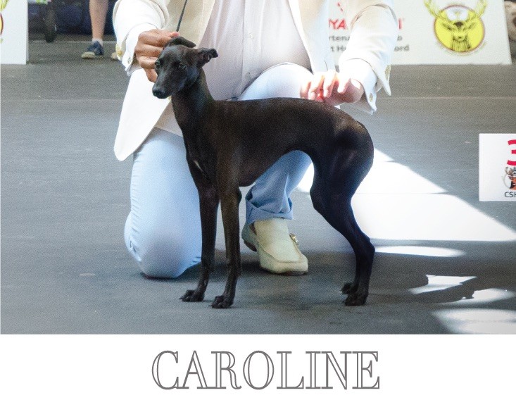 Oh princess caroline De La Squadra D'Elite