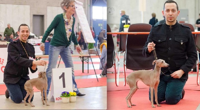 De La Squadra D'Elite - Happy encore Meilleur de Race à l'expo International en Suisse