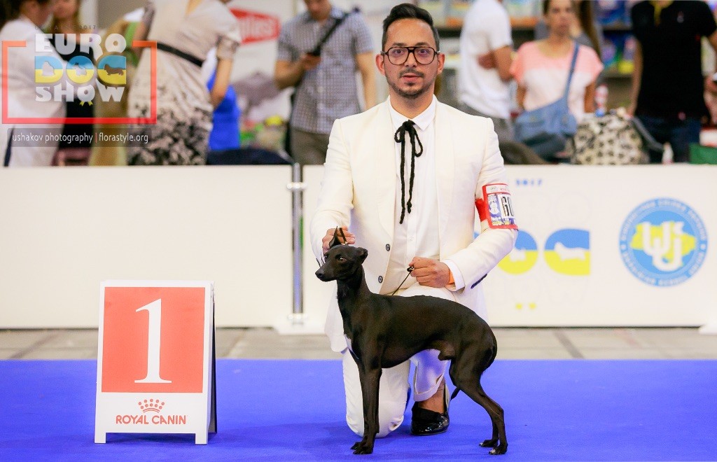 De La Squadra D'Elite - Champion d'Europe 2017 pour Saint Laurent