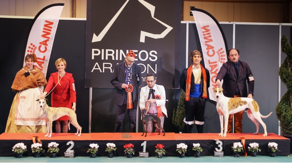 De La Squadra D'Elite - Espagne Championnat de Pirineos Aragon