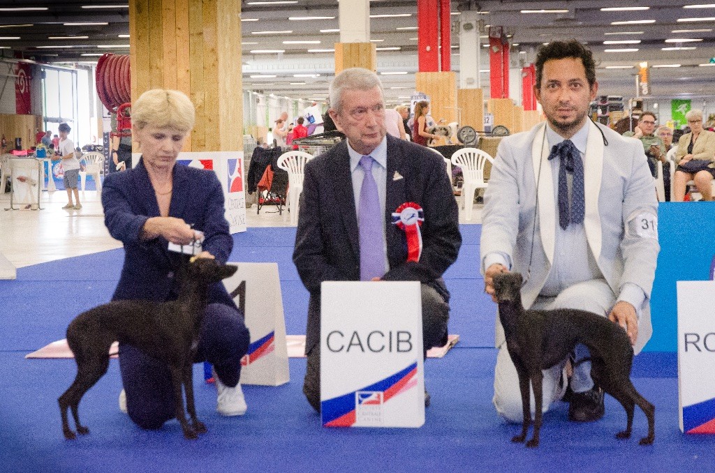 De La Squadra D'Elite - Championnat de France CAC pour