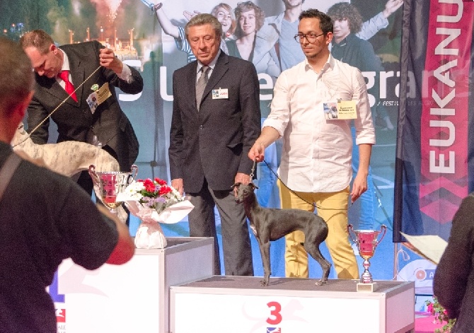 De La Squadra D'Elite - Championnat de France à Angers