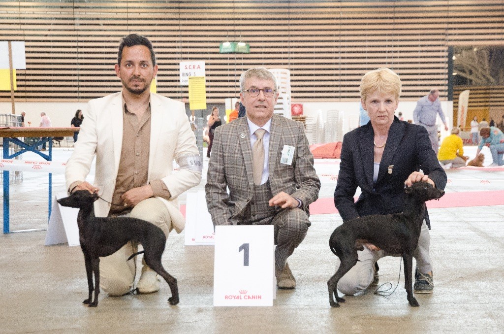 De La Squadra D'Elite - Lyon BOB pour